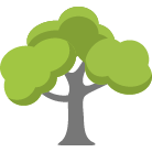 Hattiesburg Tree Removal Service